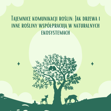 Tajemnice komunikacji roślin: Jak drzewa i inne rośliny współpracują w naturalnych ekosystemach