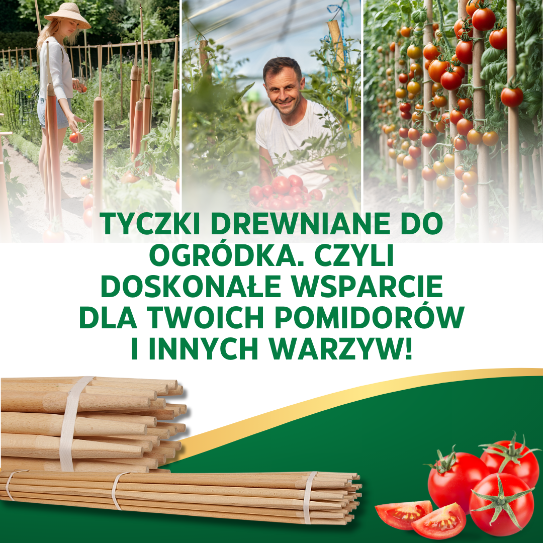 Tyczki drewniane do ogródka. Czyli doskonałe wsparcie dla twoich pomidorów i innych warzyw!